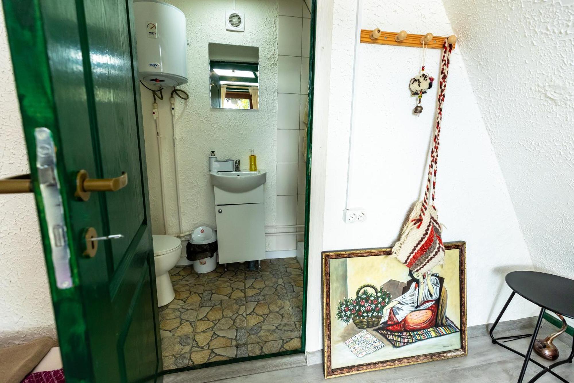 Catunu' Lui Emil Βίλα Carbunesti Εξωτερικό φωτογραφία